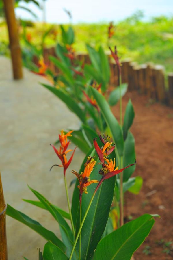 Pura Vida Varkala Hotel ภายนอก รูปภาพ